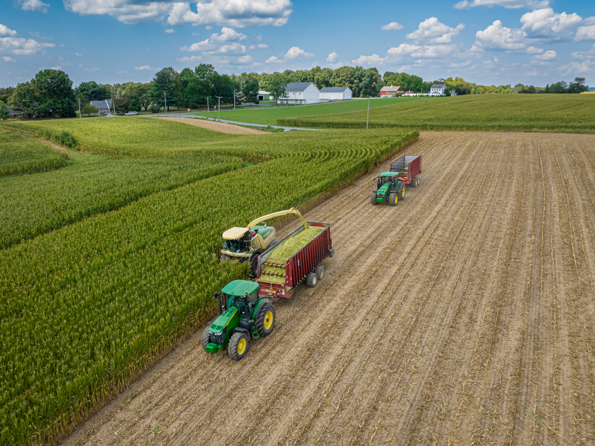 2022 Corn Harvest 