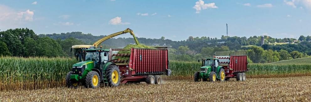 Harvestor with High-Performing Kernel Processor Rolls