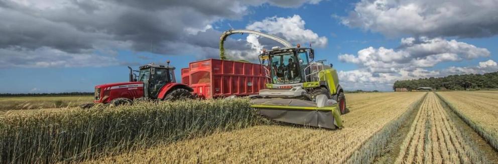 harvesting grain in a wide open field
